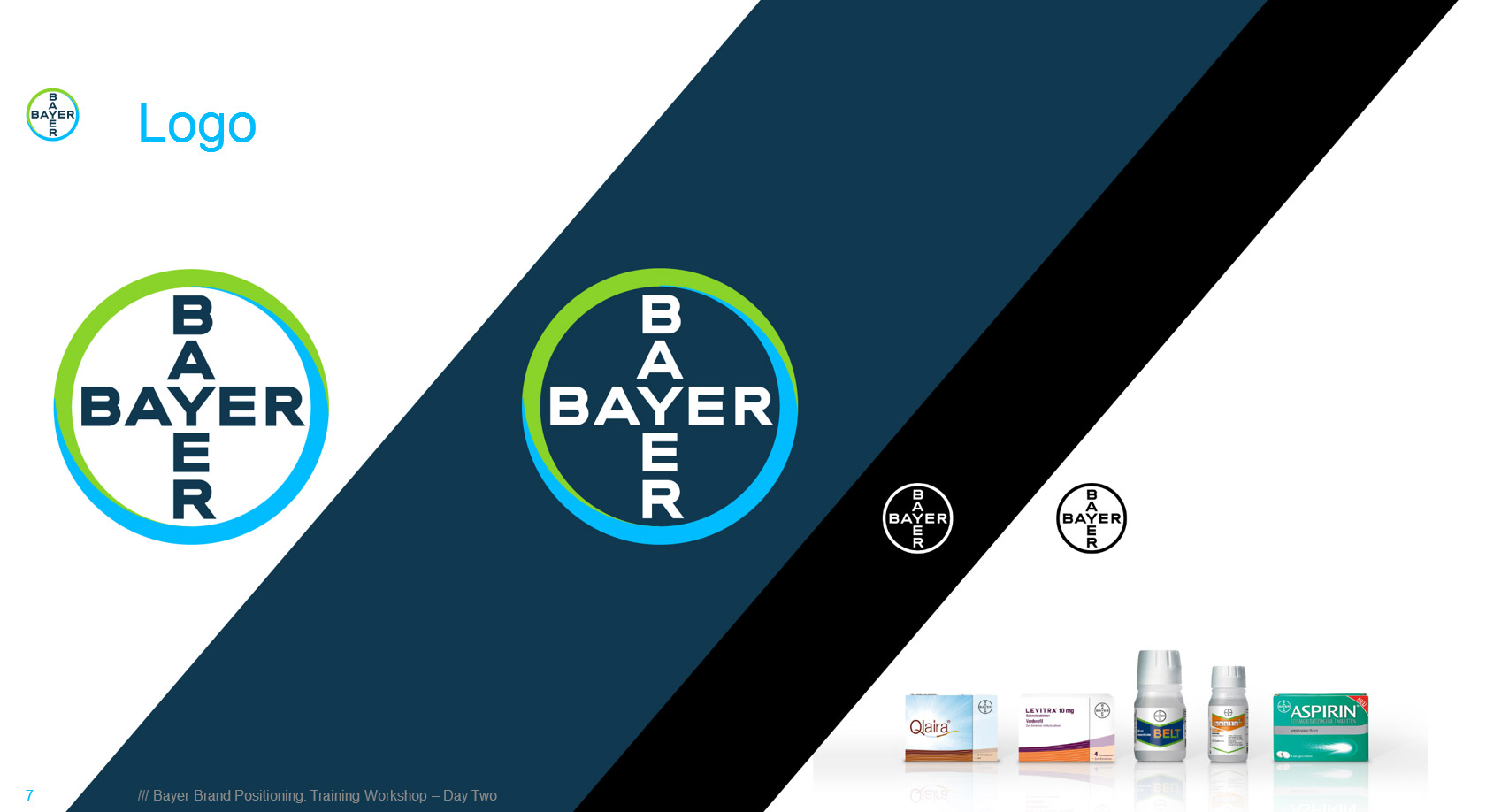 Bayer Presentation